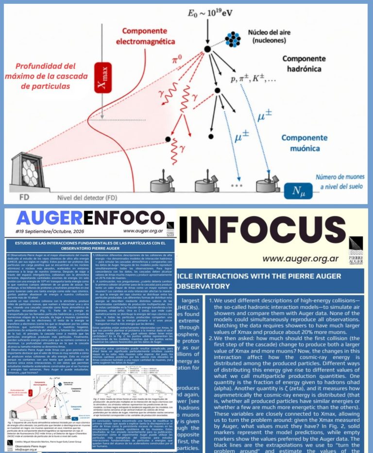 Auger en Foco #19: Estudio de las interacciones fundamentales de las partículas con el Observatorio Pierre Auger